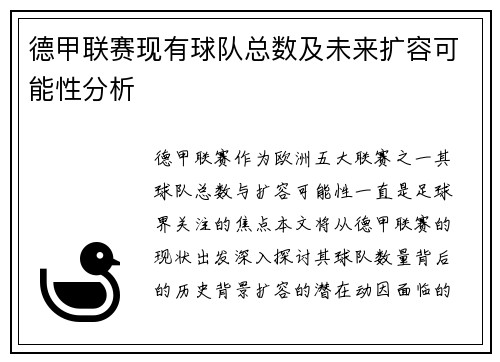 德甲联赛现有球队总数及未来扩容可能性分析
